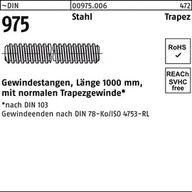 Hörger & Geßler Gewindestange Trapezgewinde 30 x 6 x 1000 mm 1 Stück