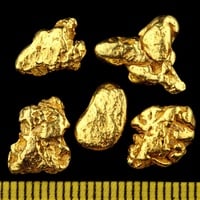 3 Gramm Echte XXL Goldnuggets aus Alaska mit Echtheitszertifikat in edler Münzdose