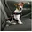 Hundegeschirr M