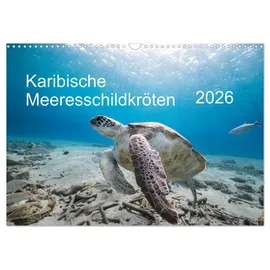 Calvendo Karibische Meeresschildkröten (Wandkalender 2026 DIN A3 quer), CALVENDO Monatskalender: