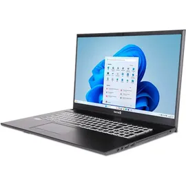 WORTMANN Terra Mobile 1716R Intel Core i5-1334U 16 GB RAM 500 GB SSD Win11 Home