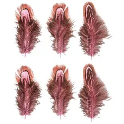 Rayher Federn pink 6 St.