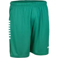 Derbystar Madrid Trainingsshorts grün/weiß L