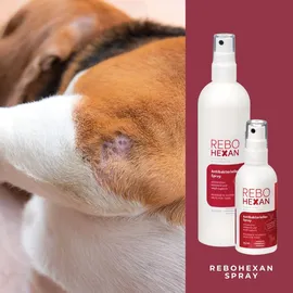 rebovet ReboHexan Spray 250 ml