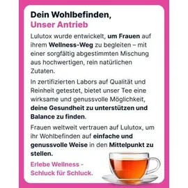 lulutox Detox Tee Ingwer Teebeutel 28 St.