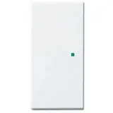 Busch-Jaeger Wippschalter 6230-20-84
