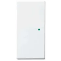 Busch-Jaeger Wippschalter 6230-20-84