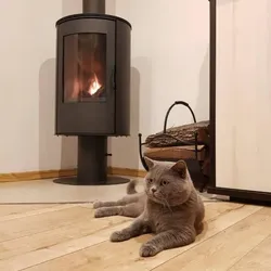 KAMINOFEN AUS STAHL SÄULENFUSS AB Ø 150 8 KW TÜRFEDER  BAUART 1   BImSchV 2 Norm