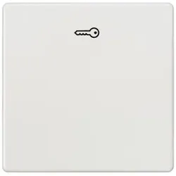 Siemens 5TG6208 DELTA i-system Wippe mit Symbol Türöffner, titanweiß