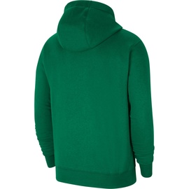 Nike Herren Team 20 Fleece HOODY, Grün, L