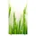 Paperflow Trennwand easyScreen ES97014 Gräser Motiv 94,0 x 173,2 cm