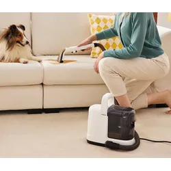 Tineco i Carpet Spot