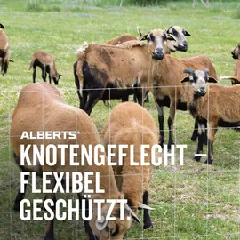 GAH Alberts Weidezaun 1500 x 100 cm Stahl