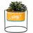 DanDiBo Ambiente Blumenhocker 34 x 30 x 25 cm Orange