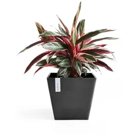 Ecopots Rotterdam 50 x 50 x 43,8 cm Dunkelgrau