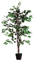 Paperflow Künstliche Pflanze Ficus 190 x 190 x 1.200 mm