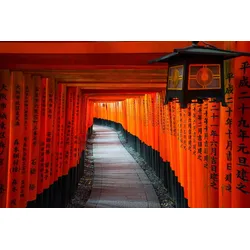 Fototapete PAPERMOON "KYOTO TEMPEL-JAPAN BAMBUS ALLEE BUDDHA WANDTAPETE DEKO", bunt, B:3,50m L:2,60m, Vlies, Tapeten