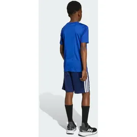 adidas Kinder Sportanzug Train Essentials, ROYBLU/WHITE, 152