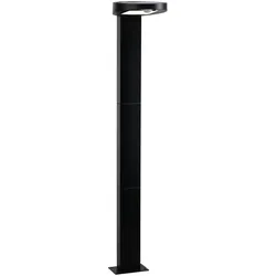 Outdoor Solar Pollerleuchte Ryse IP443000K 100lm Bewegungsmelder Anthrazit
