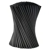 HomeGarden Wiederverwendbare Schwarze Trinkhalme (100 Stück) - 26 cm x 6 mm Biologisch Abbaubar & Kompostierbar - Ideal für Getränke, Cocktails, Events und Partys - Farbe Schwarz