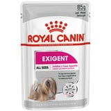 Royal Canin Exigent Wet 12 x 85 g