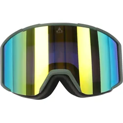 Skibrille WS6200 grau ONE SIZE