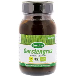 Gerstengras BIO Pulver 90 g