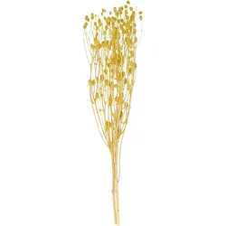 VOSTEEN 1 Stück Trockenblumenstrauß - Dekobündel, Blütenmix, Zierpflanzen, Naturdeko - Boho-Look, langlebig, stilvoll