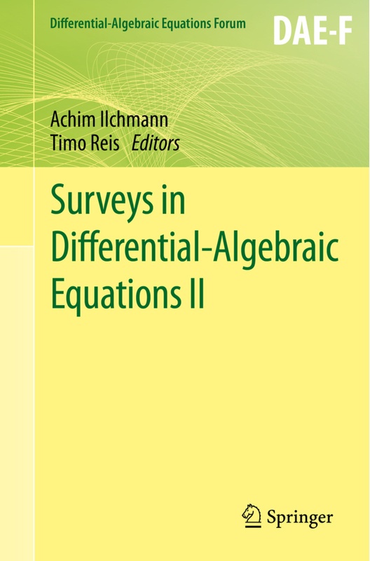Differential-Algebraic Equations Forum / Surveys In Differential-Algebraic Equations Ii  Kartoniert (TB)
