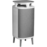 Blueair DustMagnet 5240i Grau
