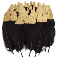 Vidillo Bunte Federn, 40 Stück Gold/Silber getauchtes natürliches rot/Schwarz Gänsefedern, ideal als Dekoration zum Karnival für Halloween Fest Masken, Kostüme und Basteln für Kinder(Feathers F)