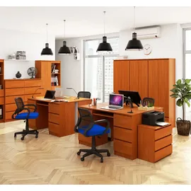 akord furniture factory AKORD A11 in der Farbe Erle mit 6 Schubladen B135 x H77 x T50 cm