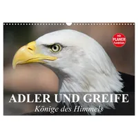 Calvendo Adler und Greife. Könige des Himmels (Wandkalender 2026