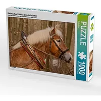 Calvendo Rheinisches Kaltblut beim Holzrücken Puzzle