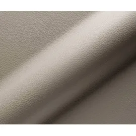 DeLife Freischwinger Vinka-Flex mit Armlehnen Echt-Leder Schlamm Freischwinger flach Edelstahl Taschenfederkern,