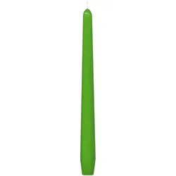 50x Spitzkerzen 245 mm 8 Stunden Brenndauer dunkelgrün
