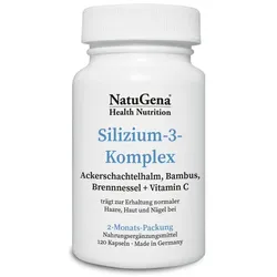 SILIZIUM-3-Komplex Vitamin C hochdosiert vegan Kps 120 St