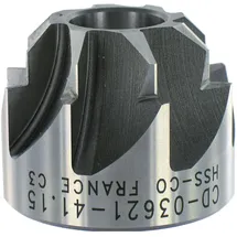 VAR Fräser, Fräser für Steuerkopf oben 1 1/8" Integriert CD-03621-41.15