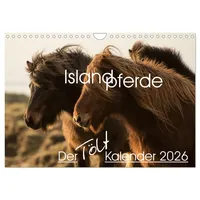 Calvendo Islandpferde - Der Tölt Kalender (Wandkalender 2026 DIN