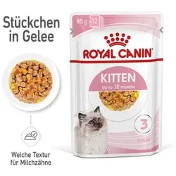 ROYAL CANIN Kitten in Gelee 12x85 g