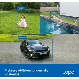 Tapo C425 Kit