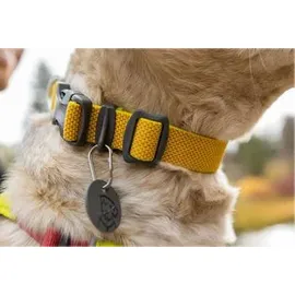 Ruffwear Hi & Light Hundehalsband Lichen Green 23-28 cm