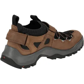 ECCO Offroad Herren Cocoa Brown/Schwarz 40