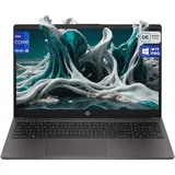 HP 250 G10 Intel Core i5-1335U 64 GB RAM 2 TB SSD Win 11 Pro