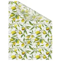 Lichtblick Fensterfolie Polyvinylchlorid (PVC), Format: 50 x 50 cm