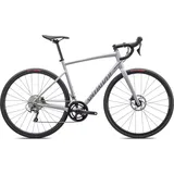 Specialized Allez Sport Rennrad Gloss Dove Grey/Cool Grey/Chameleon Lapsis | 58cm