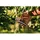 Fiskars Plus P531