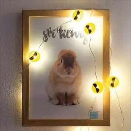 Hellum LED Lichterkette Kupfer 90 cm Warmweiß