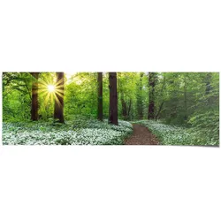 Poster REINDERS "Waldlichtung Frühling", grün (farbe bild(er): grün), B:158cm H:53cm, Papier, Bilder