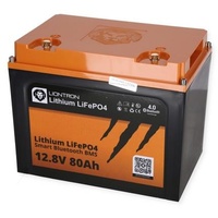 Liontron Lithium LiFePo4 Akku 14,5 kg 12.8V 80Ah mit BMS